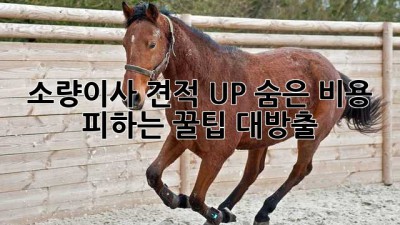 📦 소량이사 견적 UP! 숨은 비용 피하는 꿀팁 대방출 🍯