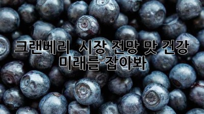 크랜베리 🍒 시장 전망: 맛, 건강, 미래를 잡아봐! ✨