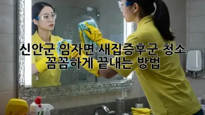 🏡 신안군 임자면 새집증후군 청소, 꼼꼼하게 끝내는 방법! 💨