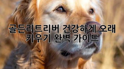 골든리트리버 건강하게 오래 키우기🐶✨ 완벽 가이드